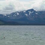 DSC03853_01 (June 15, 2020)